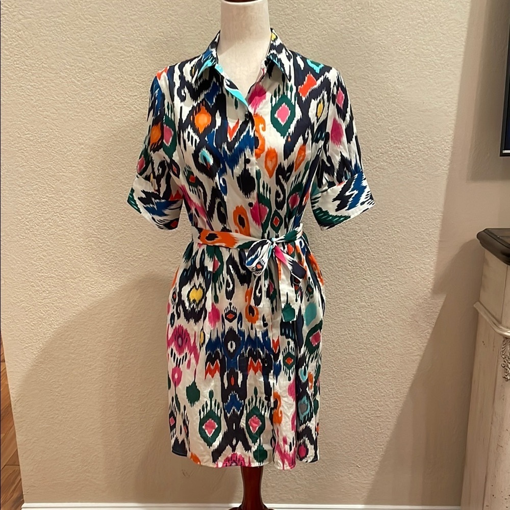 Vilagallo Multicolor Ikat Print Shirt Dress